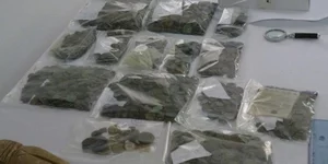 Σε 13 νομούς είχε απλώσει τα πλοκάμια του το κύκλωμα αρχαιοκαπηλίας 
