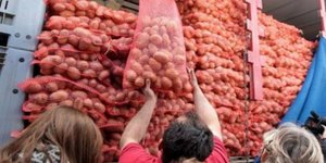 Πάνω από 17.000 τόνοι πατάτες Νευροκοπίου έχουν διατεθεί χωρίς μεσάζοντες