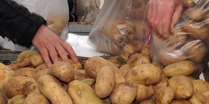 Εξαρθρώθηκε κύκλωμα «ελληνοποίησης» πατάτας