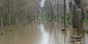 Υπερχείλισε ο Πηνειός και κατέστρεψε χιλιάδες στρέμματα καλλιεργειών