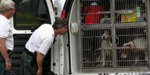 Γύρισε στη πατρίδα του και τον έφαγαν τα σκυλιά!
