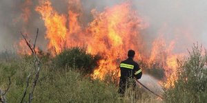 Ανεξέλεγκτη πυρκαγιά στη Ρόδο καίει 500 στρέμματα δάσους