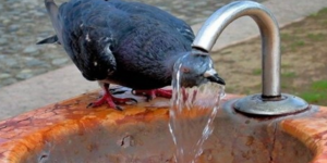 Έξι οικολογικοί και οικονομικοί τρόποι να αντιμετωπίσετε τον καύσωνα [εικόνες]