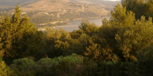 Απαγόρευση κυκλοφορίας στα δάση μετά τη δύση του ηλίου - Σε ισχύ από τη Δευτέρα