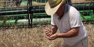 Η μεγάλη κομπίνα στα σιτηρά – Τα καρτέλ ανέβασαν στα ύψη τις τιμές