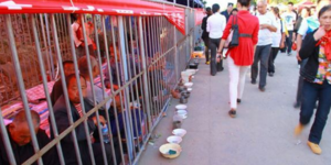 Έβαλαν τους ζητιάνους σε κλουβιά για να μην... ενοχλούν τους τουρίστες [εικόνες]