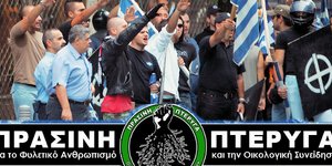 Η Χρυσή Αυγή προτείνει ευθανασία και στείρωση για τους ψυχικά ασθενείς!
