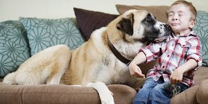 Σκύλος με 3 πόδια βοήθησε 7χρονο να σταματήσει να φοβάται τον κόσμο [εικόνες]