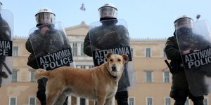 Μετωπική κυβέρνησης – διαδηλωτών για τα... μάτια της Μέρκελ
