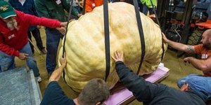 Πόσο ζυγίζει η μεγαλύτερη κολοκύθα στον κόσμο [βίντεο]