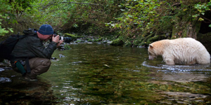 Η Αρκούδα - φάντασμα του Καναδά «συνελήφθη» από το φωτογραφικό φακό [εικόνες]
