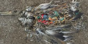 Εκεί καταλήγουν όλα τα σκουπίδια που πετάμε στη θάλασσα [βίντεο]