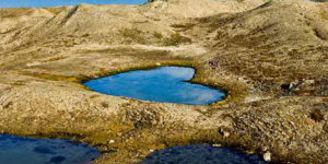 Love is all around: Όταν η φύση ζωγραφίζει καρδούλες [εικόνες]