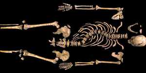 Ο Βασιλιάς της Αγγλίας Ριχάρδος ο Γ' βρέθηκε σε...πάρκινγκ [εικόνες&βίντεο]