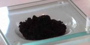 Χώμα και λάσπη τρώνε κυριολεκτικά σε εστιατόριο στην Ιαπωνία [εικόνες]