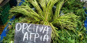 Οικογένεια στον Εβρο δηλητηριάστηκε από άγρια χόρτα - Ενας νεκρός