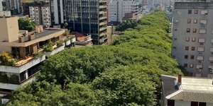 Ο πιο όμορφος και πιο κατάφυτος δρόμος του κόσμου [εικόνες]