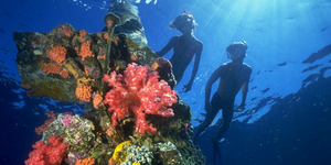 Παγερή σιωπή