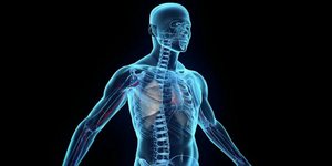 Τριάντα πέντε άγνωστες αλλά θαυμαστές λειτουργίες του ανθρώπινου σώματος [λίστα]