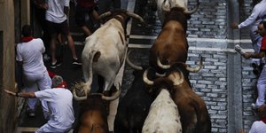 Οι ταύροι αφέθηκαν ελεύθεροι στους δρόμους της Παμπλόνας - Τέσσερις οι τραυματίε