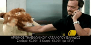 Η Φιλοζωική καταγγέλλει το 11880 για κακοποίηση ζώου [βίντεο]