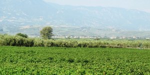 Φόρος στα αγροτεμάχια με 7 συντελεστές και μέγιστη επιβάρυνση 236 ευρώ το στρέμμ