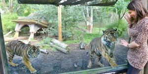 Ζωολογικός κήπος με ενδυματολογικό κώδικα – «Πόρτα» σε όσους φορούν animal print