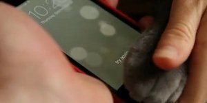 Παιχνιδάκι το iPhone 5S - Μέχρι και μία γάτα μπορεί να το ξεκλειδώσει [βίντεο]