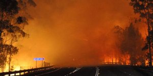 Σε κατάσταση εκτάκτου ανάγκης η Αυστραλία – Οι πυρκαγιές συνεχίζουν το καταστροφ