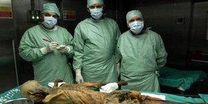 Συγγενείς του «ανθρώπου των πάγων» Οτζι