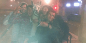 Μεθυσμένοι φοιτητές βγήκαν για ποτό με ένα...λάμα [εικόνα]