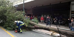 Οδός Σταδίου: Δέντρο ξεριζώθηκε από τον αέρα κι έπεσε πάνω σε αυτοκίνητο