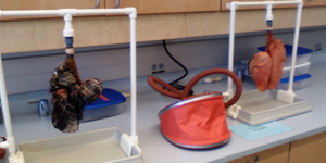 Σοκαριστικό πείραμα: Δείτε τους αληθινούς πνεύμονες ενός καπνιστή σε λειτουργία 