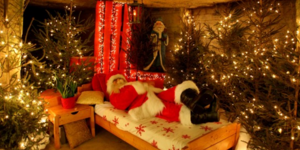 Διακοπές στο χωριό του Αϊ Βασίλη: Αυτές είναι οι 10 πιο Χριστουγεννιάτικες πόλει