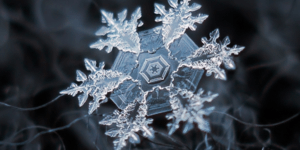 Εντυπωσιακές μακροφωτογραφίες καταγράφουν τους σχηματισμούς των χιονονιφάδων [ει