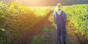 Αλλάζει το προφίλ του αγρότη- Νέος