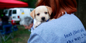 Βρείτε το χαμένο σας κατοικίδιο με το Petlocator: Ο πρώτος χάρτης αναζήτησης για