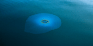 Τι προκαλεί τις πετρελαιοκηλίδες; Οι άγνωστες πηγές περιβαλλοντικής ρύπανσης