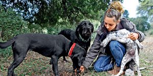 Παυλίνα Κλαδοπούλου: Η πρώτη Ελληνίδα κυνηγός τρούφας