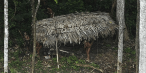 Η πιο απομονωμένη φυλή ιθαγενών του Αμαζονίου βρίσκεται σε κίνδυνο [βίντεο]