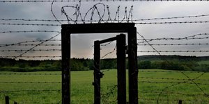 Ο ψυχρός πόλεμος τελείωσε. Τα ελάφια όμως δεν το ξέρουν