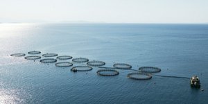 Ποια προϊόντα σαρώνουν στο εξωτερικό και απογειώνουν τις ελληνικές εξαγωγές