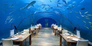 Δειπνήστε δίπλα σε καρχαρίες και σαλάχια – Ενα ξεχωριστό εστιατόριο στο... βάθος