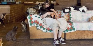 Ζώντας με 700 γάτες: Το μεγαλύτερο καταφύγιο αιλουροειδών στον κόσμο [εικόνες]