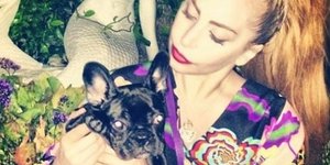 Η Lady Gaga κατάφερε να εξοργίζει και τις φιλοζωικές : Στόλισε το σκυλί της με κ