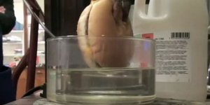 Τι συμβαίνει στο στομάχι μας: Ιδού πως τα γαστρικά υγρά αποσυνθέτουν την τροφή [