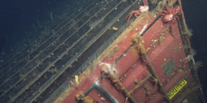 Χιλιάδες κοντέινερ καταλήγουν κάθε χρόνο στο βυθό: Τι επιπτώσεις έχουν στη ζωή τ