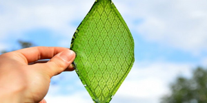 Τεχνητό φύλλο που παράγει οξυγόνο δημιούργησε Βρετανός ερευνητής [βίντεο]