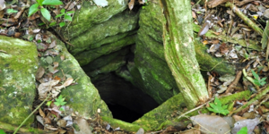 Αρχαίες πόλεις των Μάγια ανακαλύφθηκαν σε ζούγκλα του Μεξικού [εικόνες]