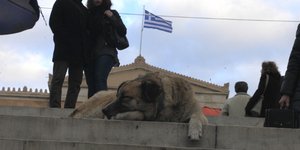 (EUROKINISSI-ΚΟΝΤΑΡΙΝΗΣ ΓΙΩΡΓΟΣ)